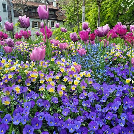 Allgaeublick Apartment Wangen im Allgaeu Luaran gambar