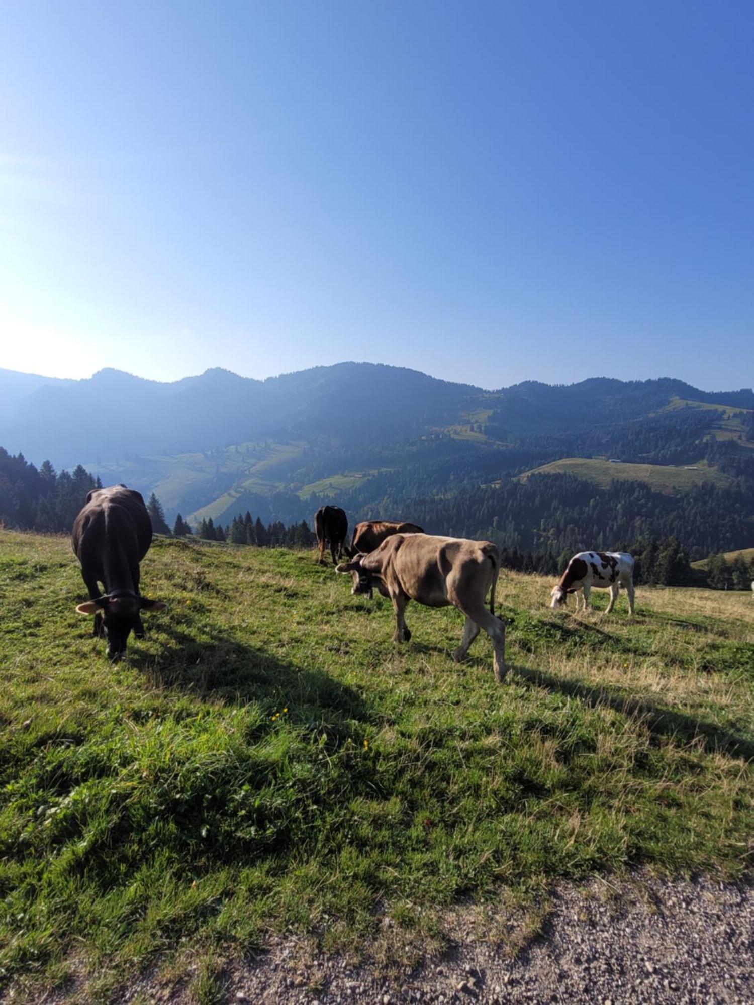 Allgaeublick Apartment Wangen im Allgaeu Luaran gambar